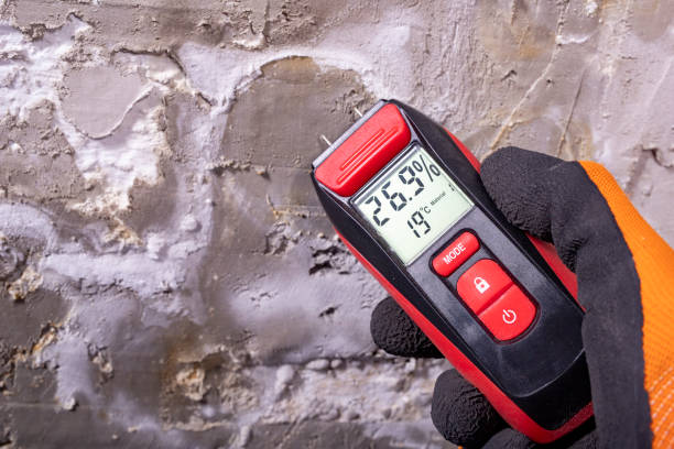 Best Bathroom Mold Remediation in Bowling Green, MD