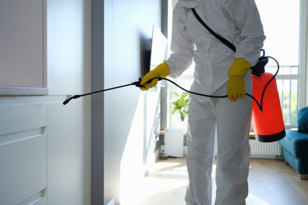 Best Kitchen Mold Remediation in Bowling Green, MD