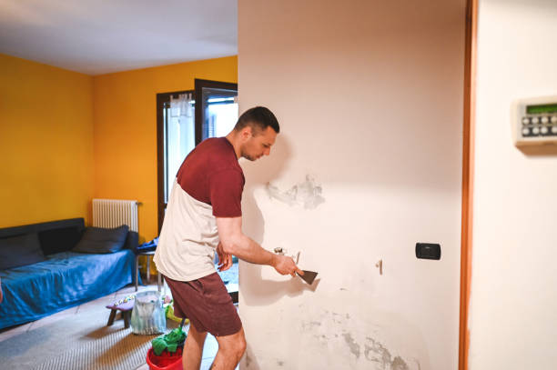 Best Commercial Mold Remediation in Bowling Green, MD